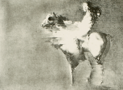 Arno Rink, Versteinerter Reiter, 1978